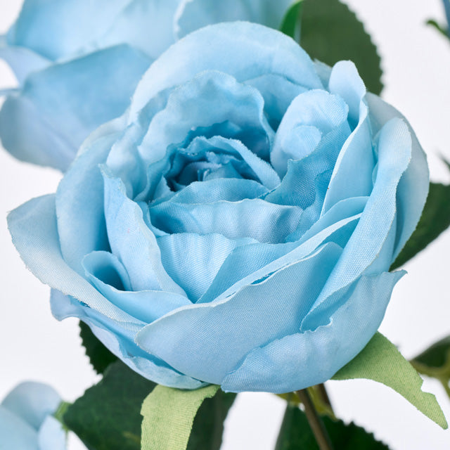 薔薇のバルーンフラワー｜ギフト