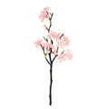 桜のバルーンフラワー｜ギフト