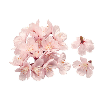 桜　落ち輪・造花｜東京堂