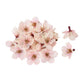 桜　落ち輪・造花｜東京堂