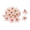 月夜の桜