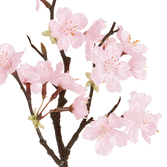 【誕生花ギフト】桜のバルーンフラワー　No.70