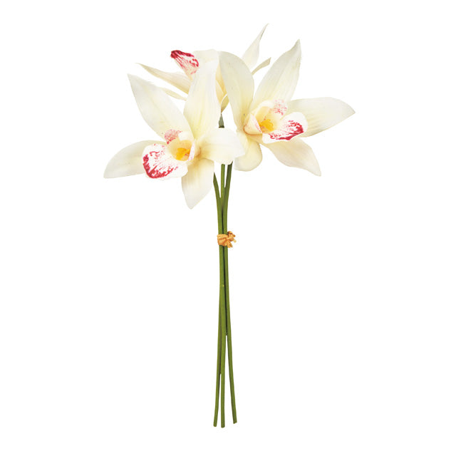 【誕生花ギフト】シンビジウムのバルーンフラワー　No.281