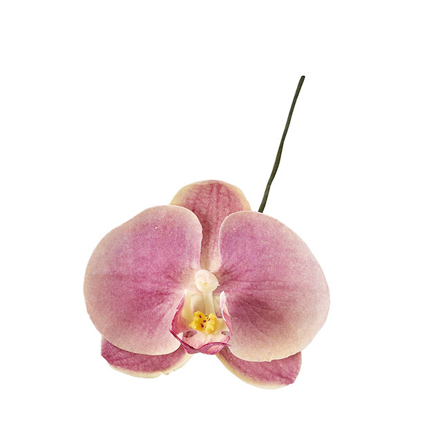 【造花】1本から卸販売通販　アミュゼファレノ　グレープオーキッド　造花専門店 花材問屋プリフラSHOP