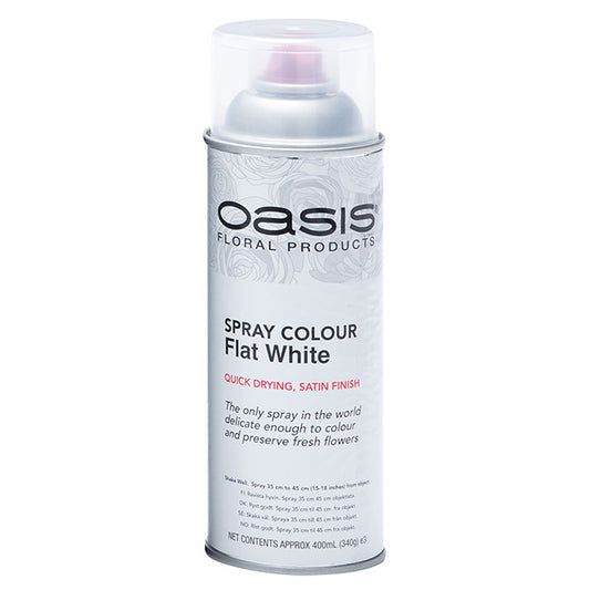 フラットホワイト　オアシスカラースプレー　oasis　白　530-1