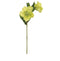 ２営業日後出荷