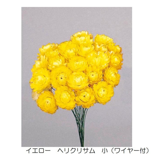 32100-500　ヘリクリサム　小（ワイヤー付）　イエロー