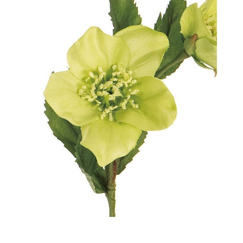 プリムクリスマスローズ・造花｜東京堂